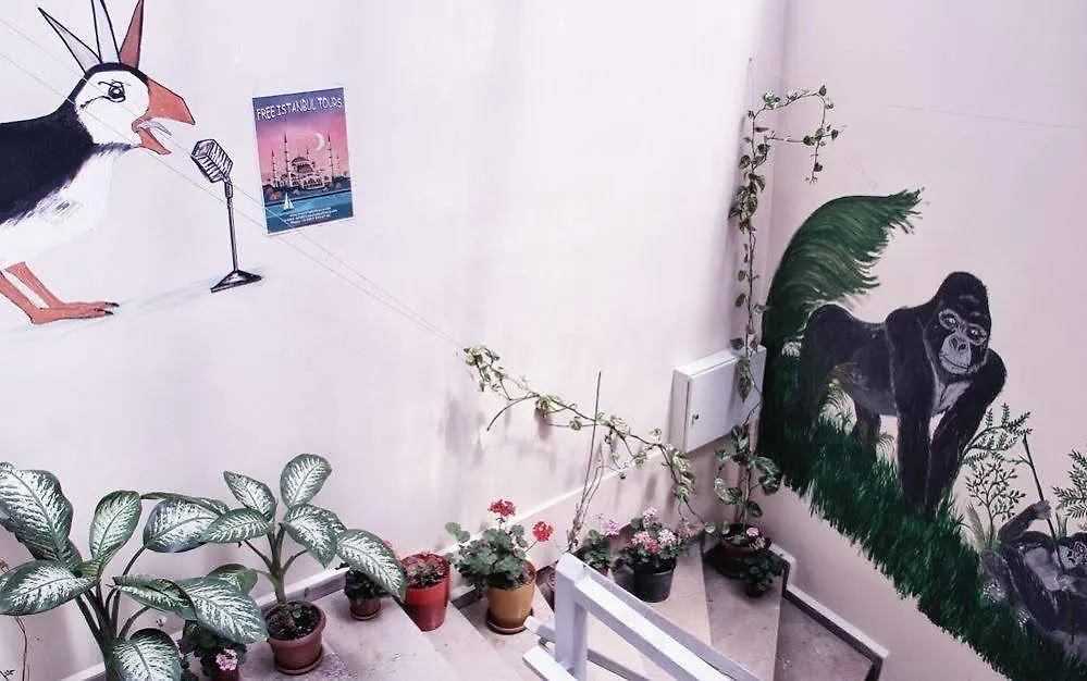 Puffin Boutique - Istanbul Hostel